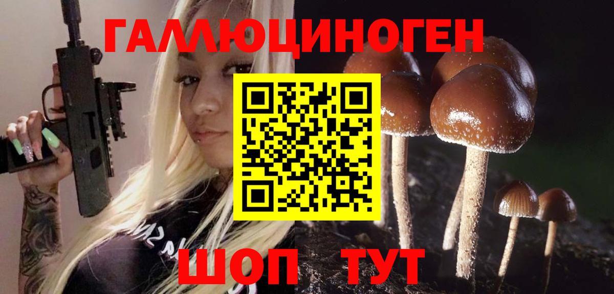 наркотики  Галлюциногенные грибы MAGIC MUSHROOMS  Вход с VPN  Новотроицк 